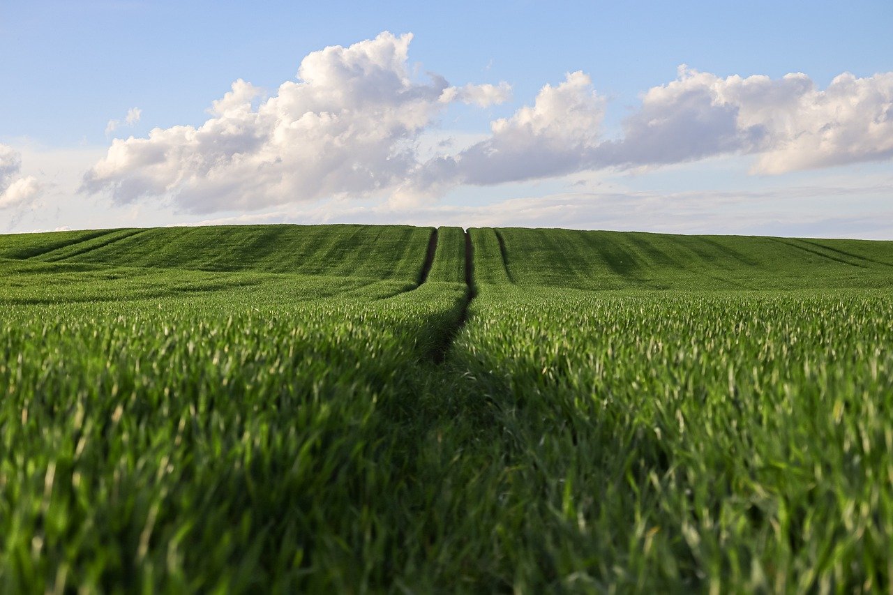 Which Emerging Technologies Are Disrupting Traditional Harvest Methods? explore the latest emerging technologies in agriculture, including innovations that enhance productivity, sustainability, and efficiency in modern farming practices.
