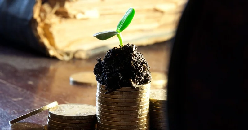 Matching your cuts to your growth stage