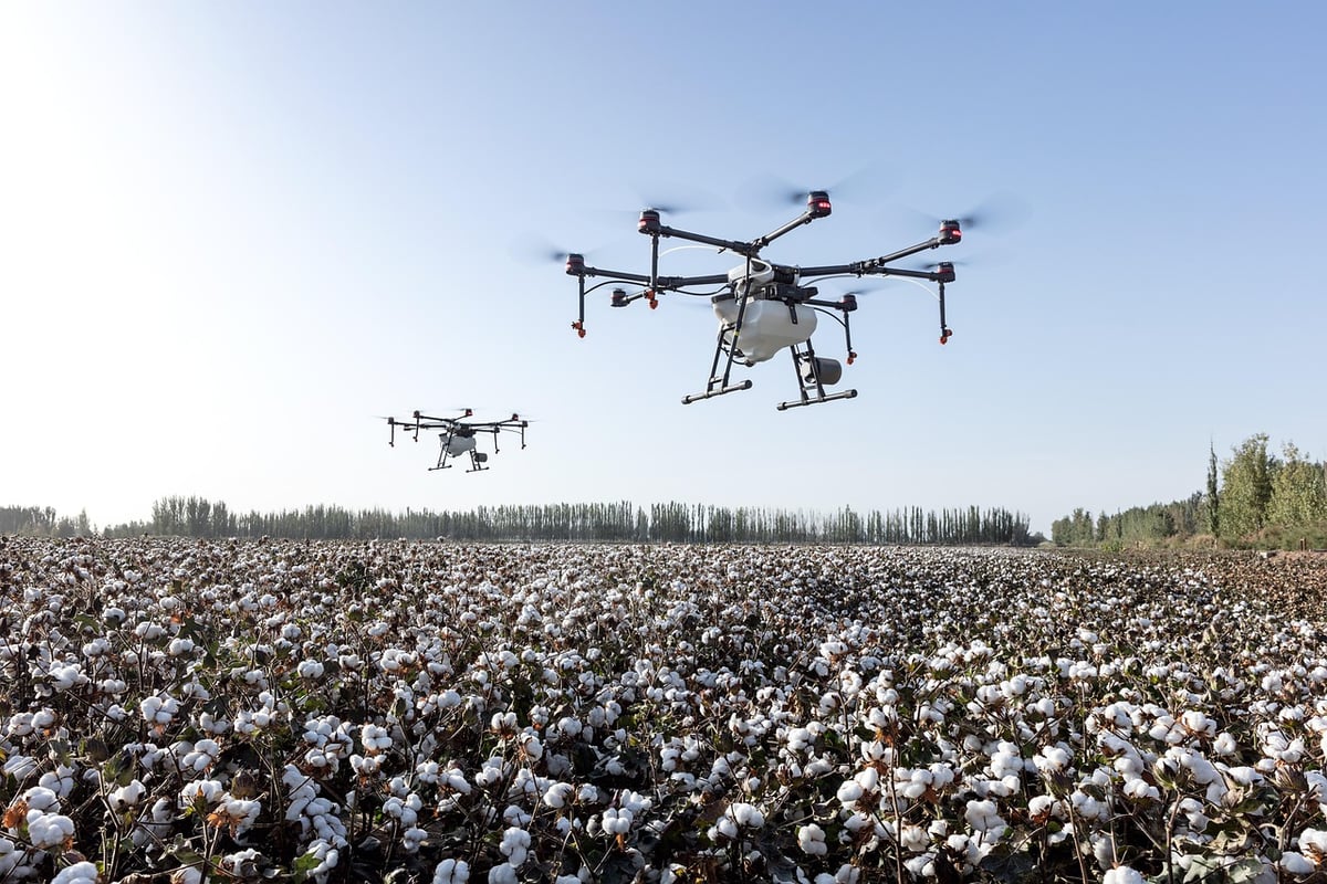 What Are the Most Overlooked Opportunities in Agricultural Automation?