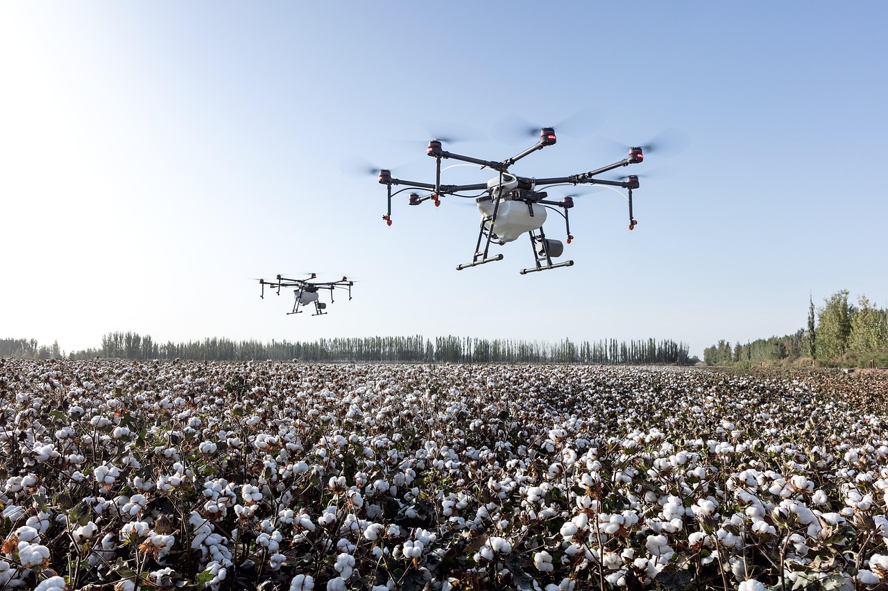 What Are the Most Overlooked Opportunities in Agricultural Automation?