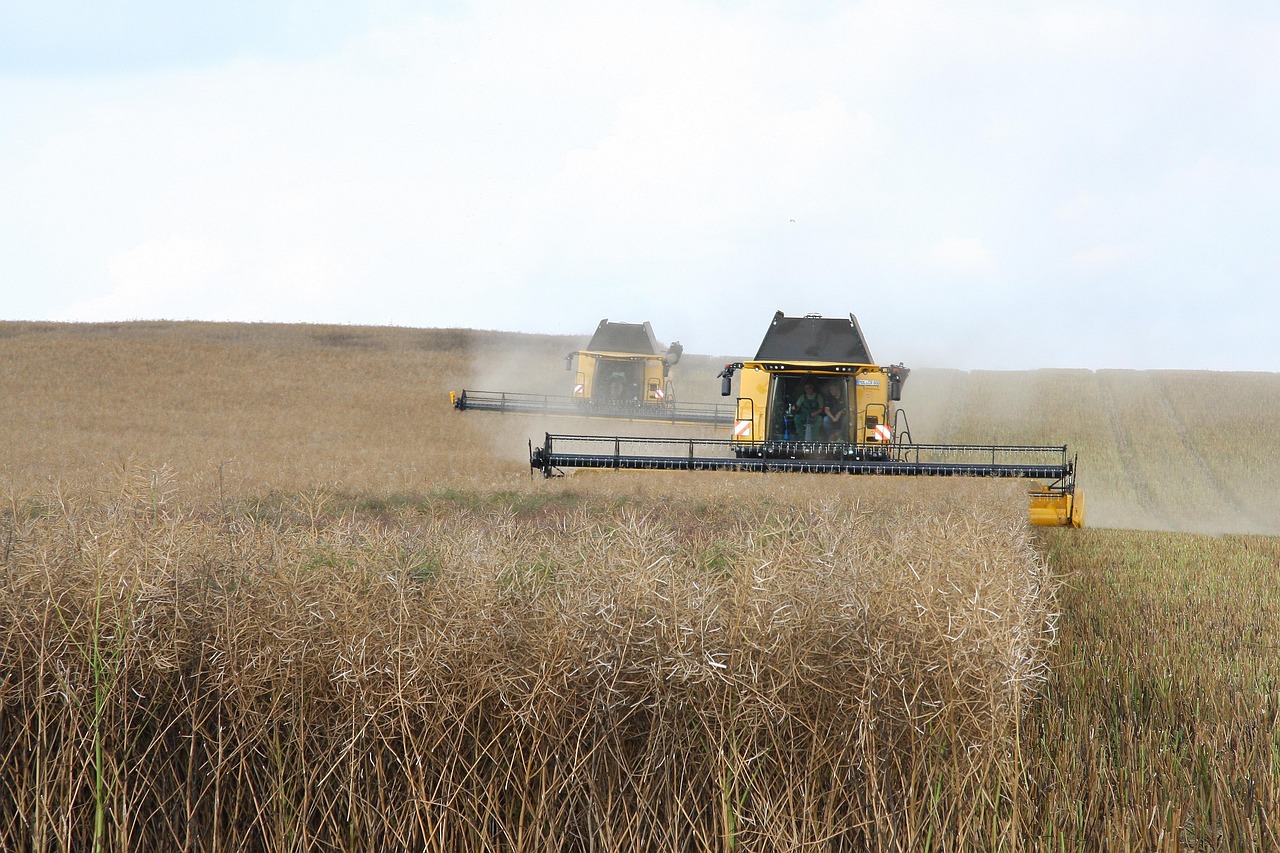 How Do Autonomous Harvesters Compare to Manual Labor in Terms of Profitability?