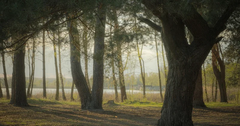 Three strategies worth running in parallel — and how to tell them apart