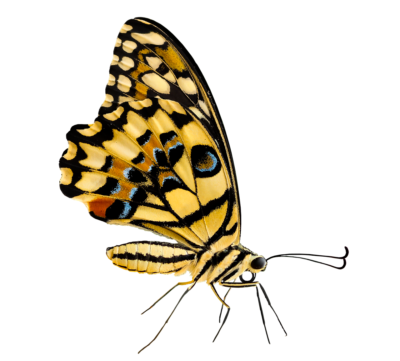 discover cutting-edge ai-powered sensors that enhance accuracy and efficiency across various applications, from smart devices to industrial automation.