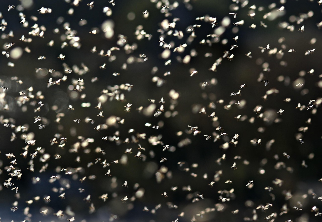 discover how smart harvesting equipment can maximize your roi by improving efficiency, reducing costs, and boosting crop yields with advanced technology.